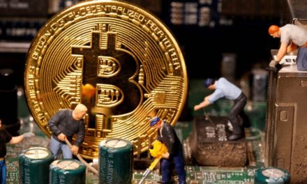 مكاسب العملات المشفرة ترفع