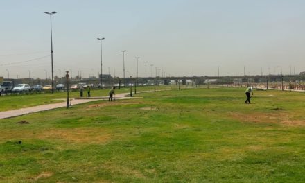 لمكافحة التصحر..الامانة العامة تفرض غرامات مالية ضخمة على كل من يقطع شجرة