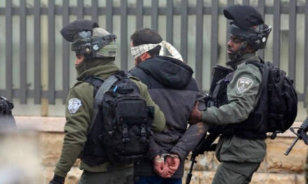 الجيش الاسرائيلي يعتقل 55 فلسطينيا بينهم 3 سيدات